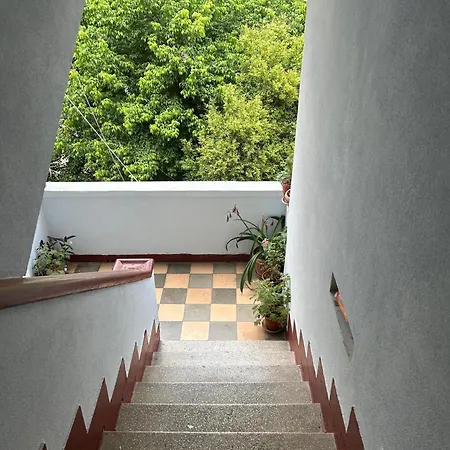 Modern Luxe Escape